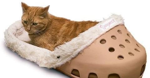 sasquatch-croc-bed-1-1559568414041.jpg
