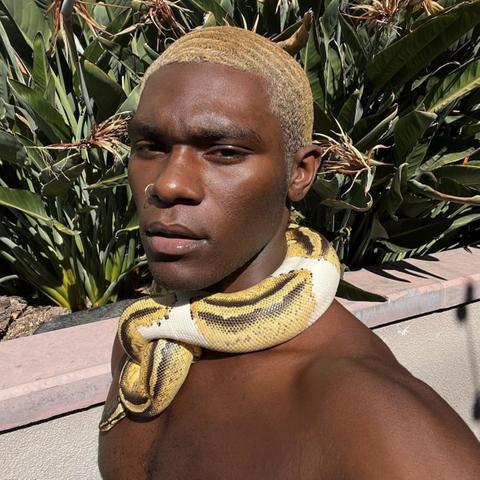 Meet LGBTQ+ TikTok Star Tyshon Lawrence (EXCLUSIVE)