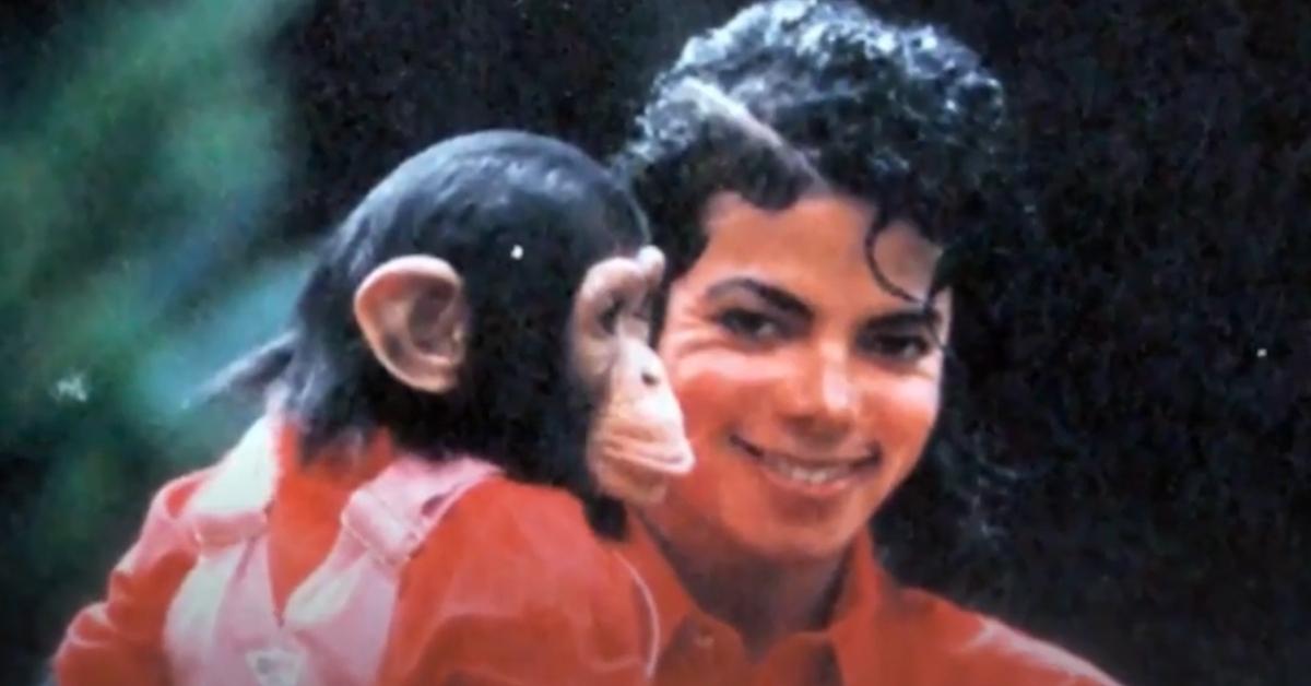 What Happened to Bubbles the Chimp? Details Inside