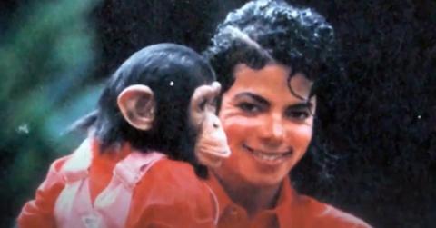 What Happened to Bubbles the Chimp? Details Inside