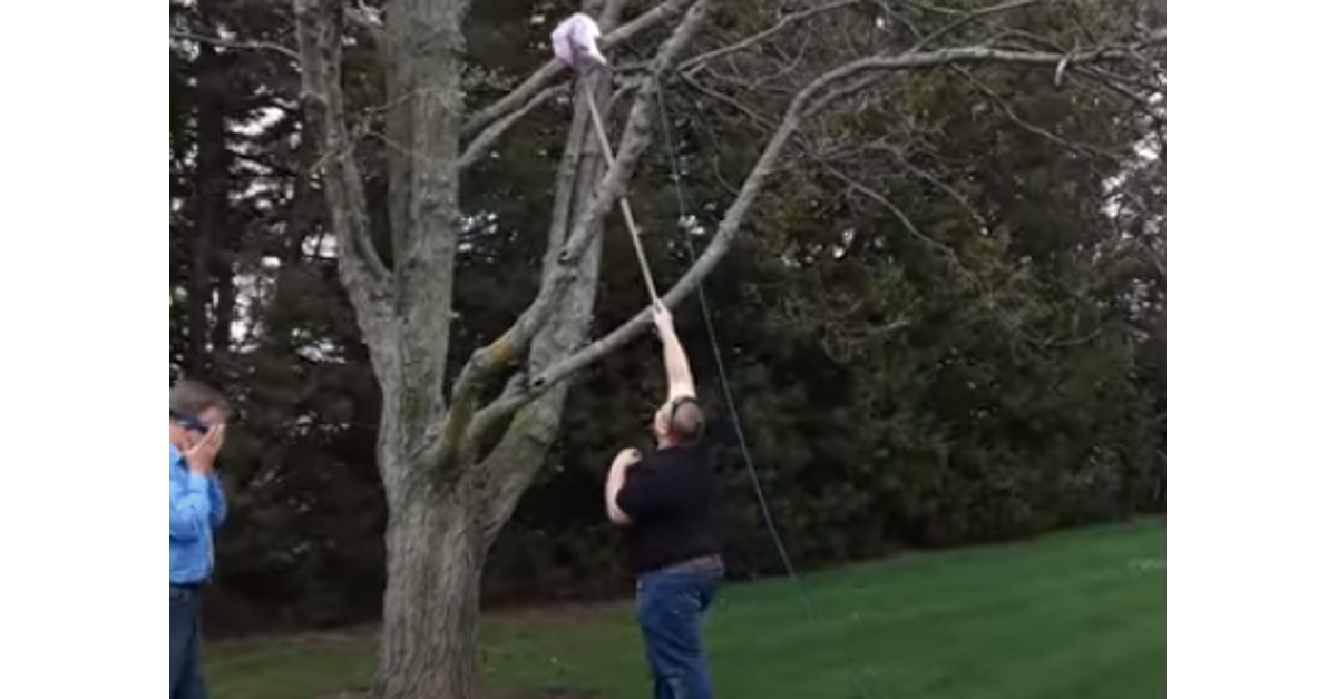 pinata gender reveal