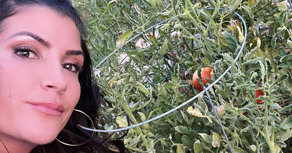 Does Dana Loesch Have Children? Her Abortion Comments, Explained