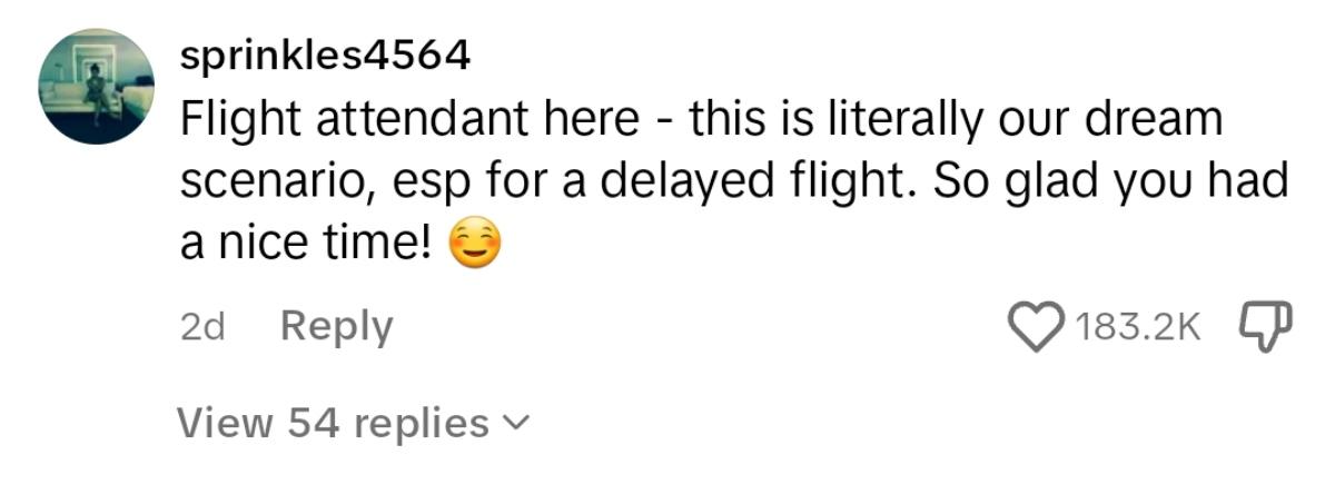 A flight attendant's comment on the TikTok video