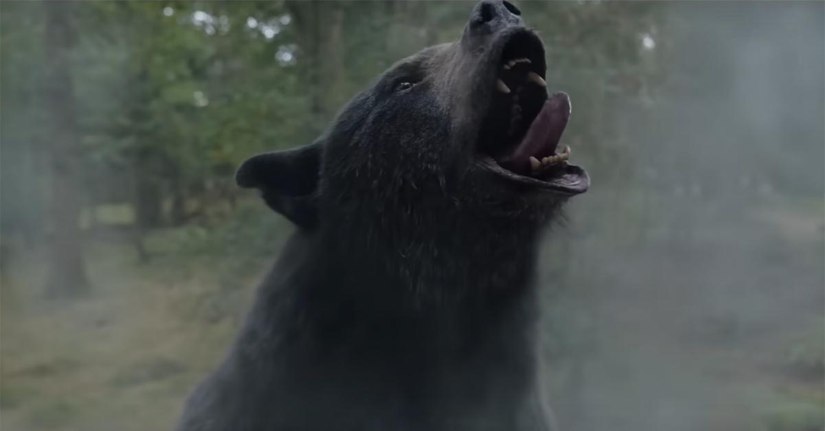 A Potential 'Cocaine Bear' Sequel Could Follow Another Natural Predator That's Also High on Cocaine