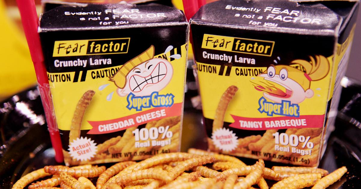 Fear Factor crunchy larva
