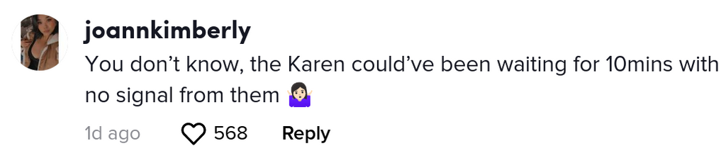 Karen Ruins Wedding Photo Plane Shot In Viral Tiktok