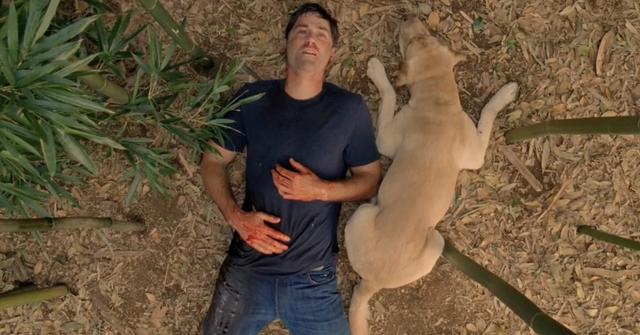 Jack and Vincent lay together in the Lost finale