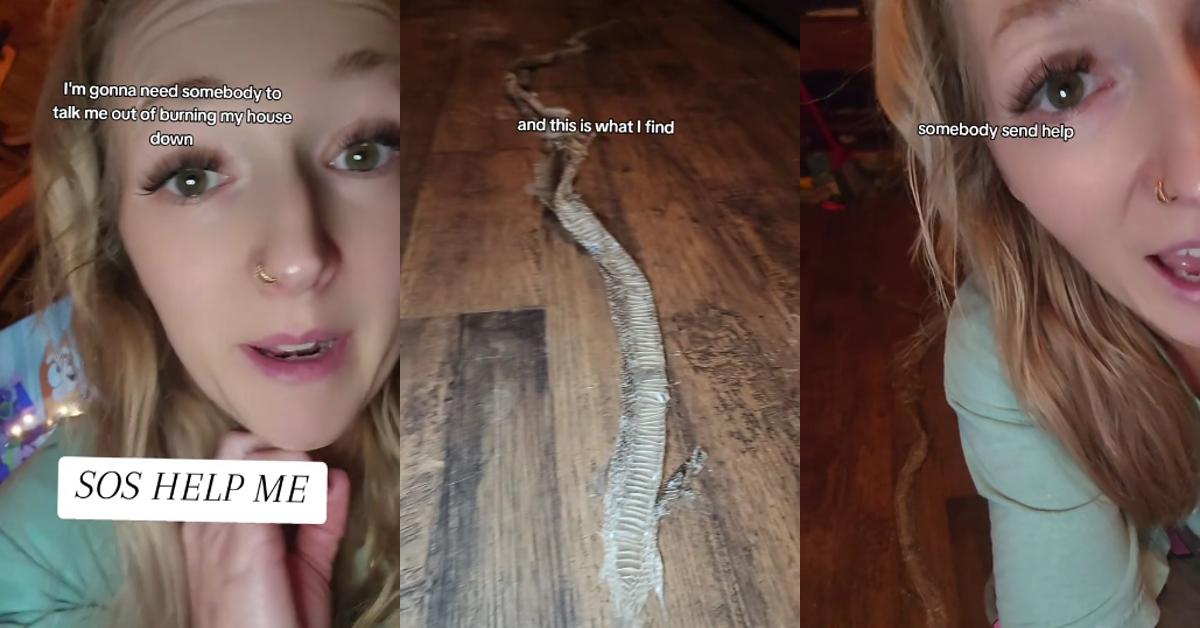 Woman Finds Snake Skin Under Couch, Wants to Burn Down House