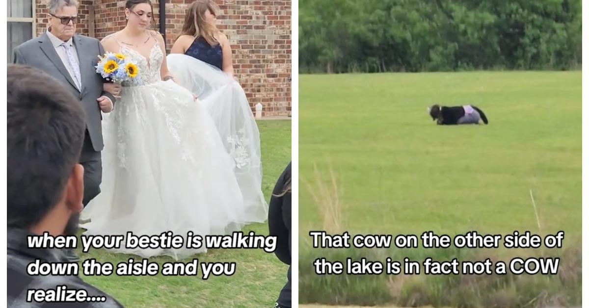 Video of Furry in Background of Wedding Goes Viral