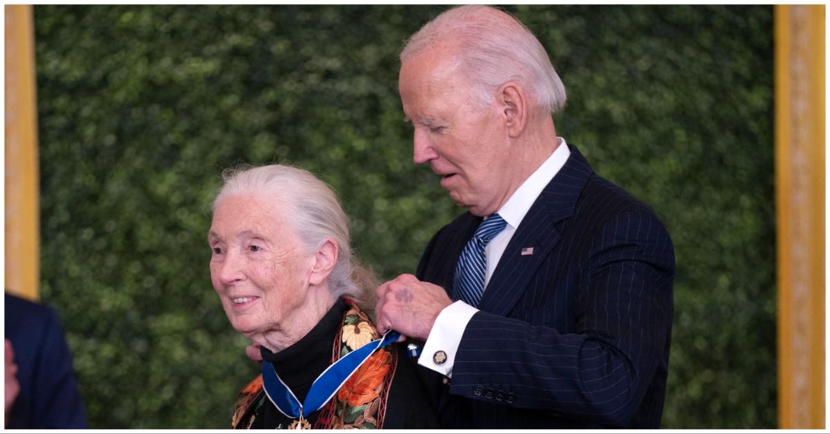 Jane Goodall receives the Medal of Freedom from President Joe Biden.