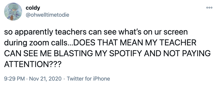 Can Teachers See Your Screen On Zoom What About Private Messages 