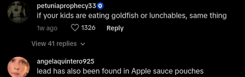 air fryer lead test tiktok