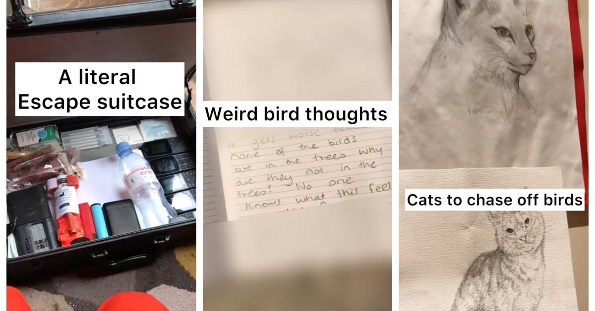 Woman discusses bird psychosis on TikTok