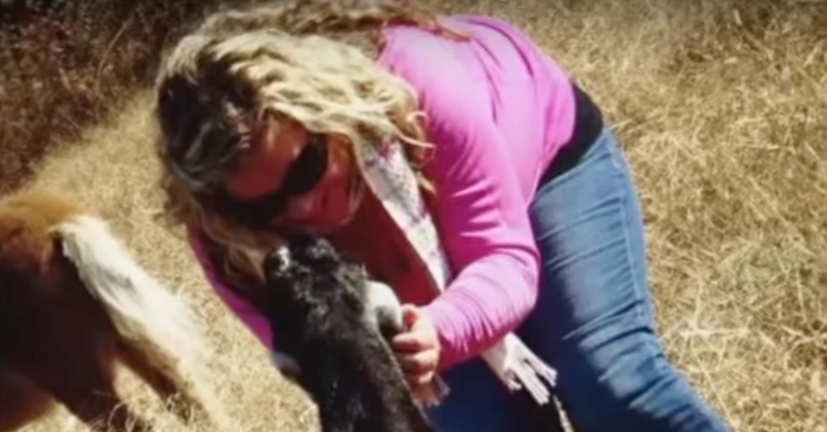 Laura Wallen pets a goat at a farm