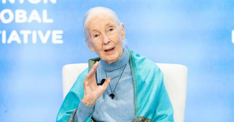 Jane Goodall's Christian Faith Was Key to Her Worldview