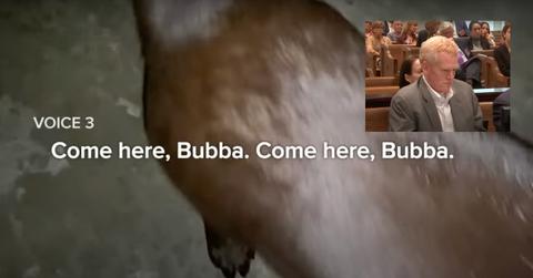 paul murdaugh snapchat video