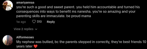 Mom’s “Scary” Response to Son’s Bullying Praised Online