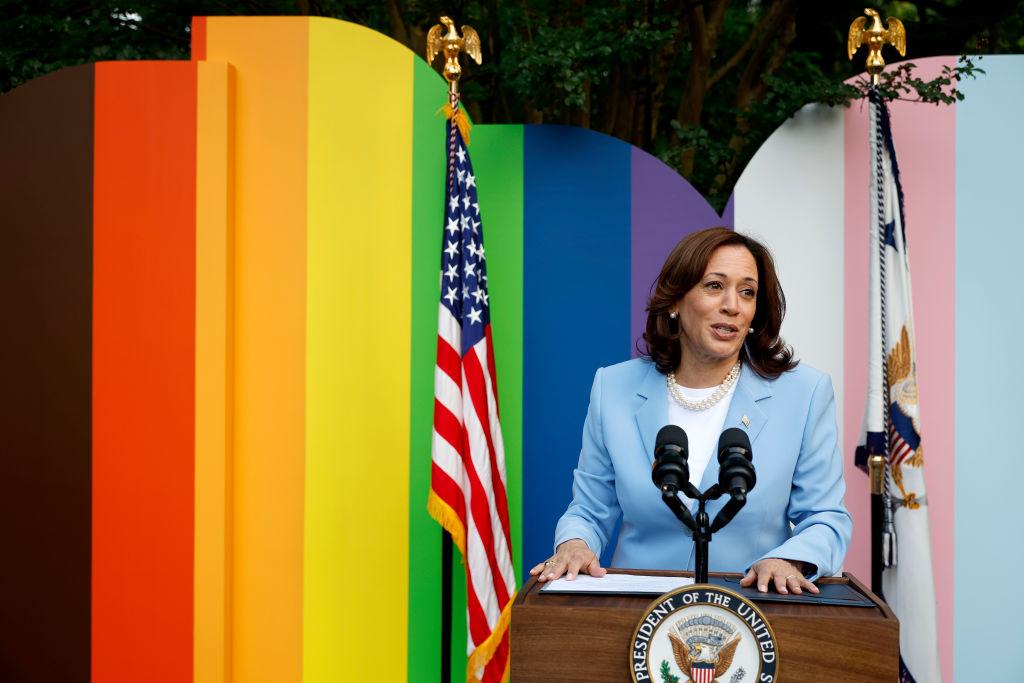 Kamala Harris standing in front of a wall with the colors of the pride flag and trans flag.