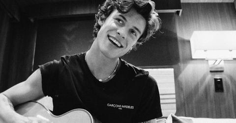 is shawn mendes hispanic