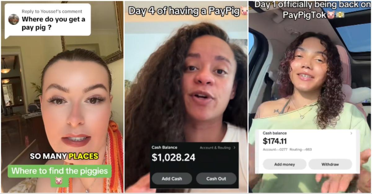 Collage of paypig TikToks
