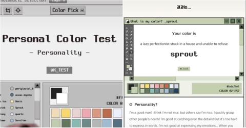 Color Personality Test TikTok