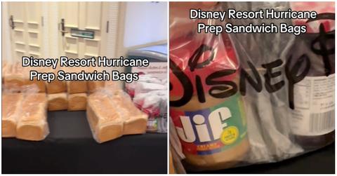 photos of sandwich bags being sold at disney