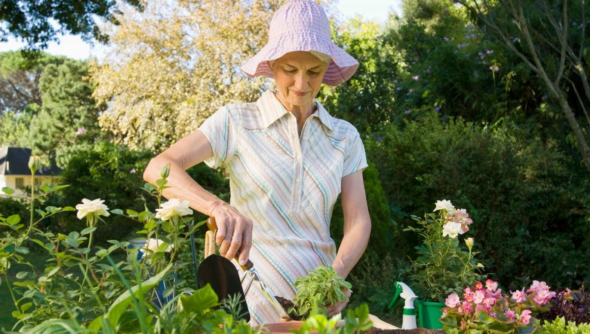 Woman potting plants