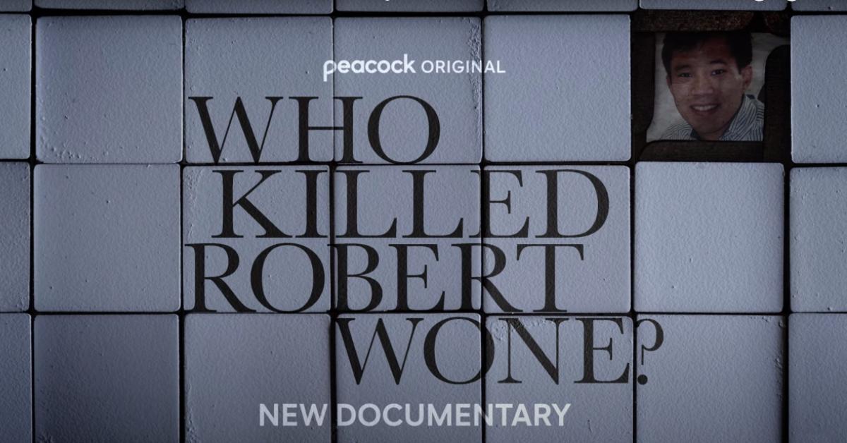 'Who Killed Robert Wone?