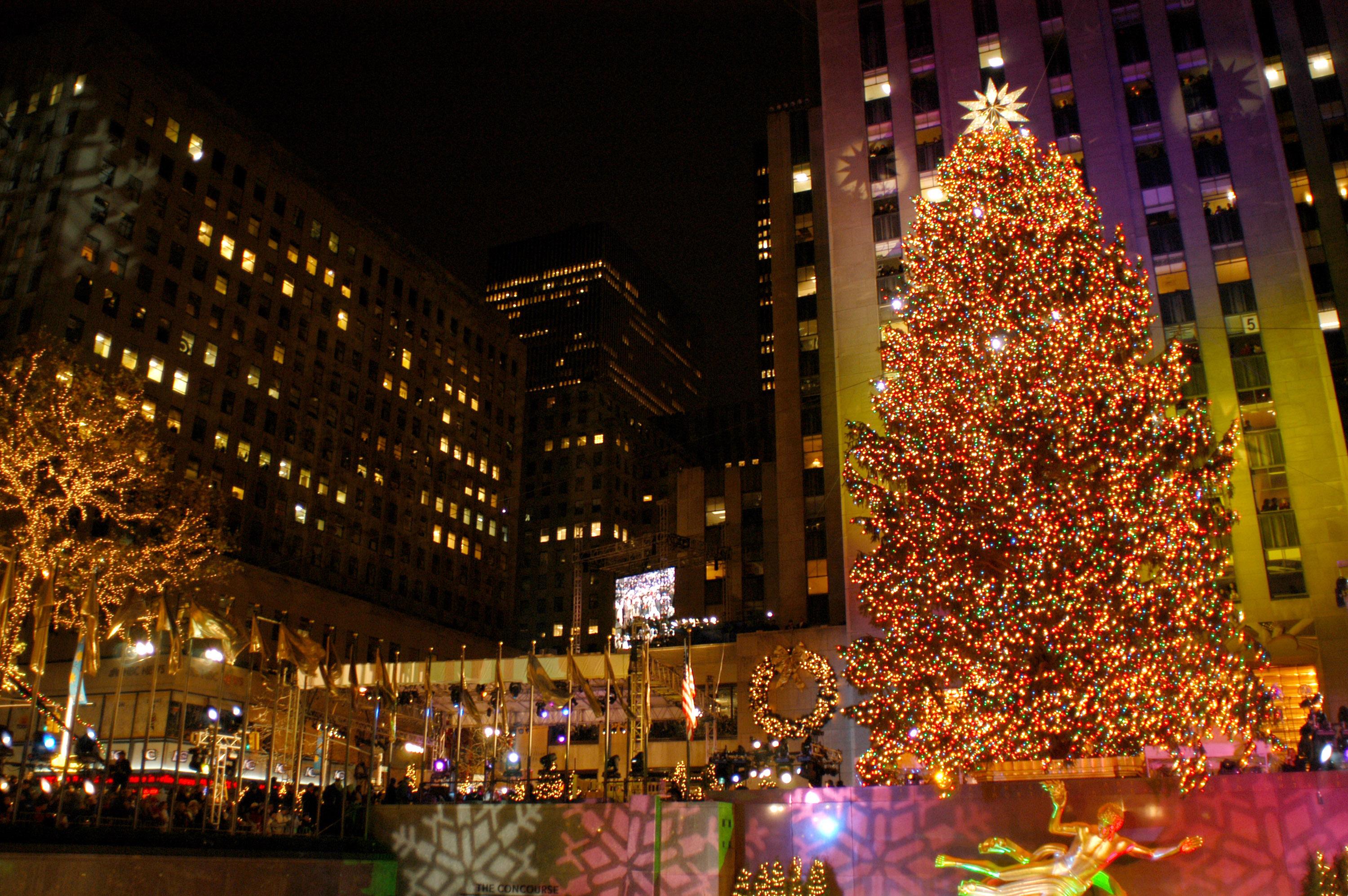 See York Christmas tree cut, moved and set on Continental Square