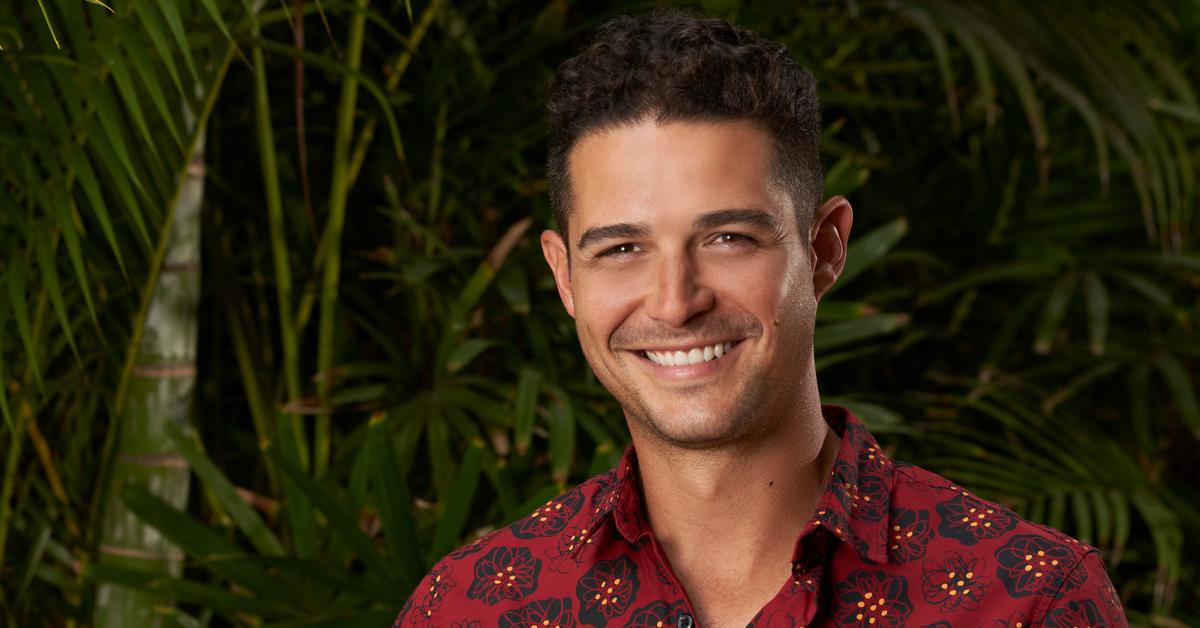 Fans Are Begging for Wells Adams to Be Named 'Bachelor in Paradise' Host