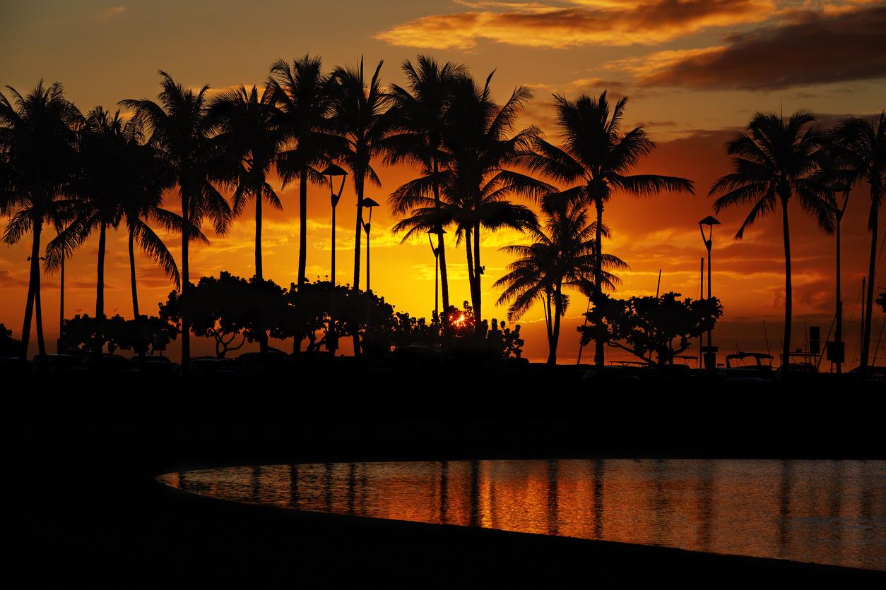 waikiki