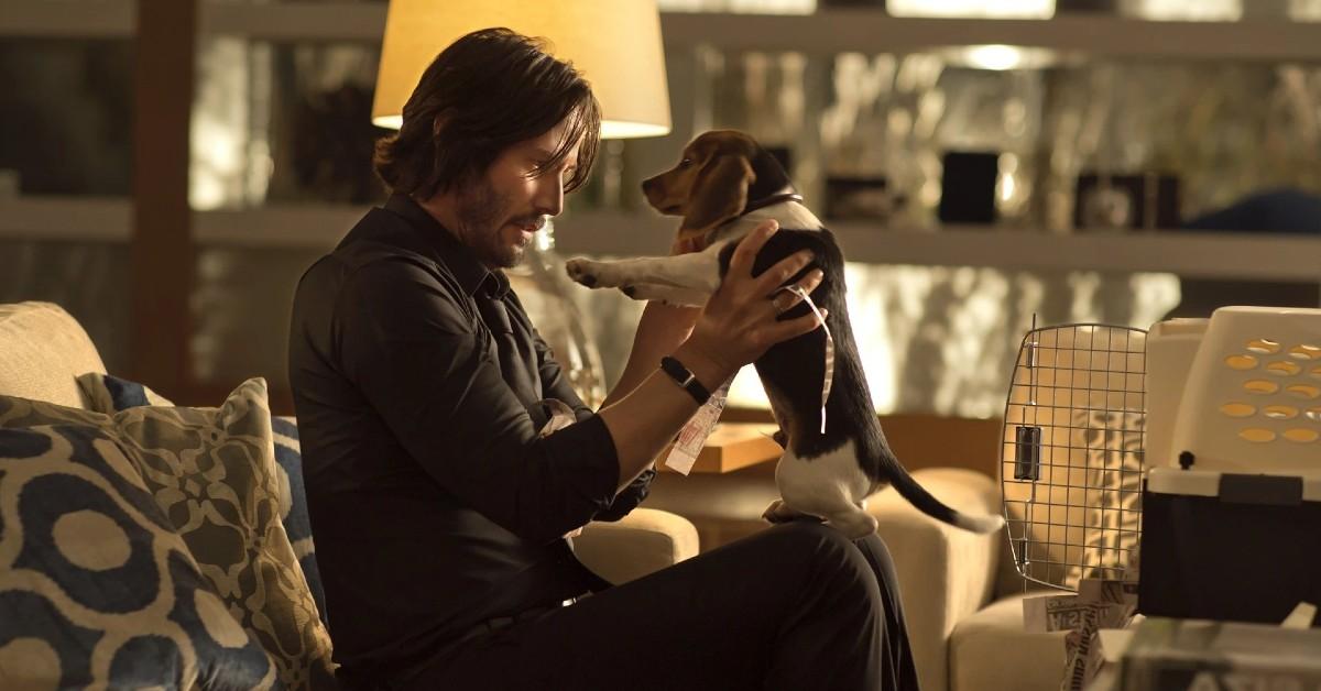 'John Wick'