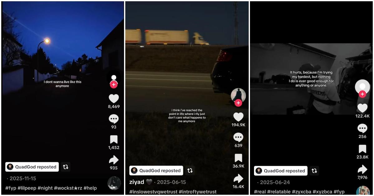 Ilia Malinin’s TikTok reposts from Reddit.