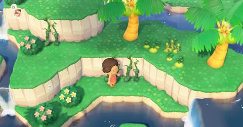 Glowing moss and vines 'Animal Crossing: New Horizons'
