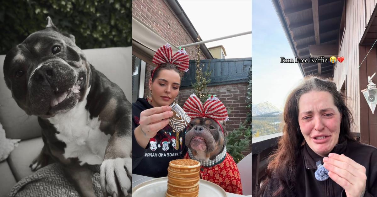 What Happened to Raffie From Bundle of Bullies?