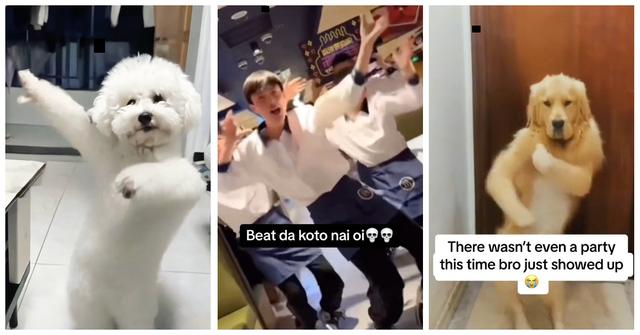 Beat the Koto Nai TikToks