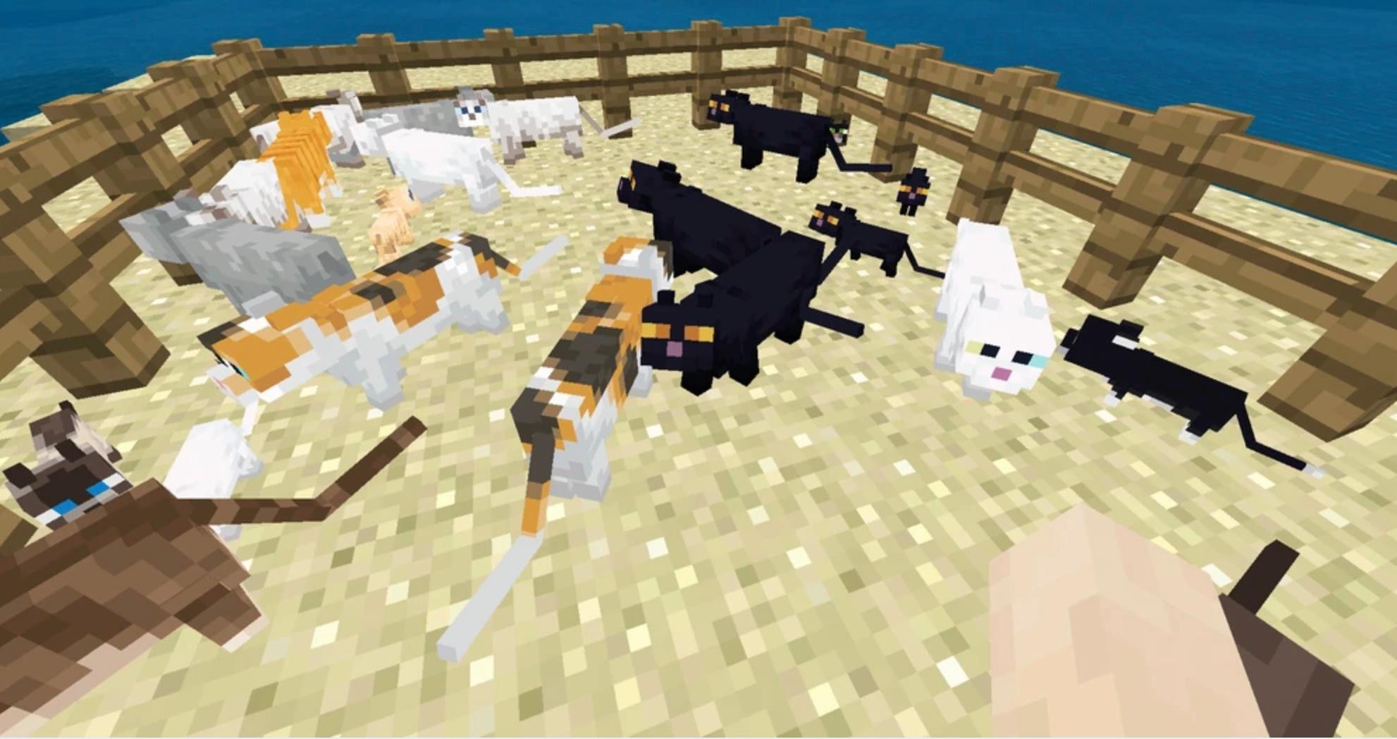 How to Find and Tame a Cat in 'Minecraft'