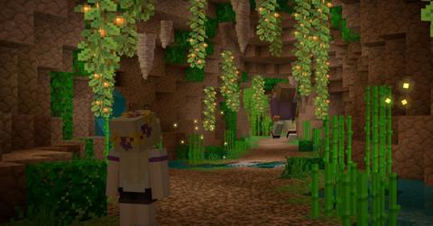 A Minecraft player exploring a biome.