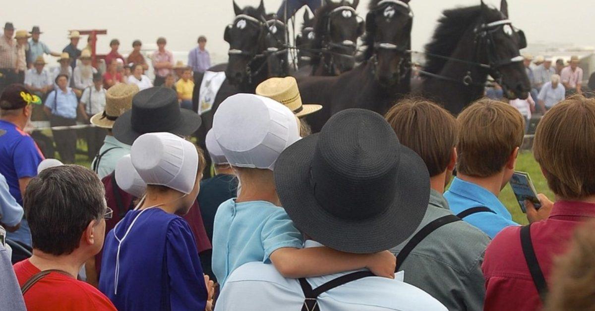 Amish community gathers for horse show.