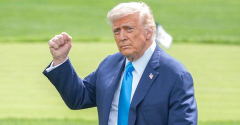 donald trump holding up his fist