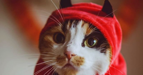 screen-shot-2019-10-28-at-22643-pm-1572287289493.png