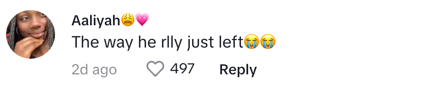 A commenter reacting to the way Stei left the hospital