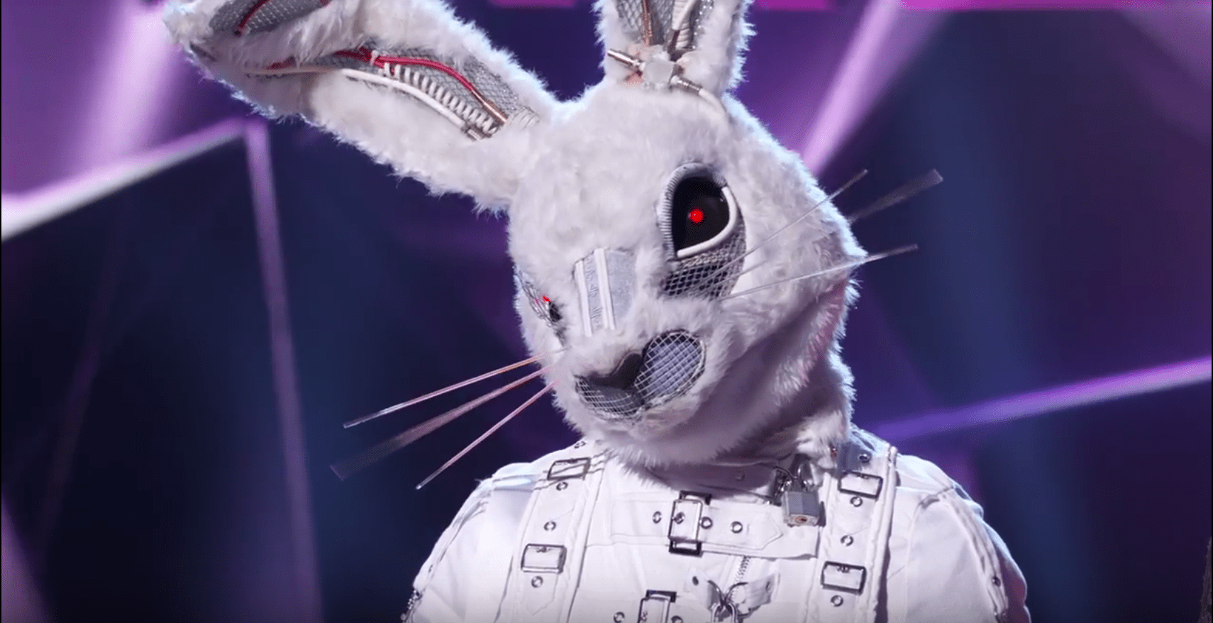 masked singer bunny