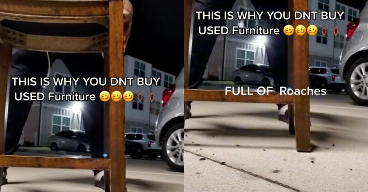 TikToker’s Used Furniture Is Filled With Roaches