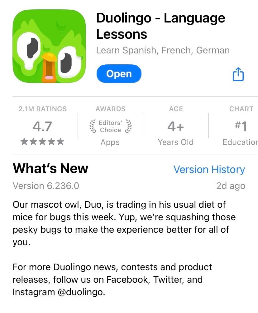 melting duolingo app icon