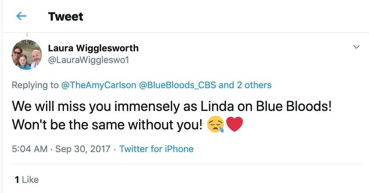 Why Did Amy Carlson Leave 'Blue Bloods?' Fans Are Still ...