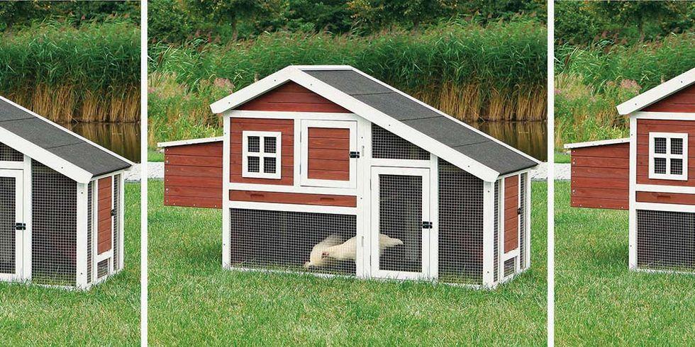 costco chicken coop